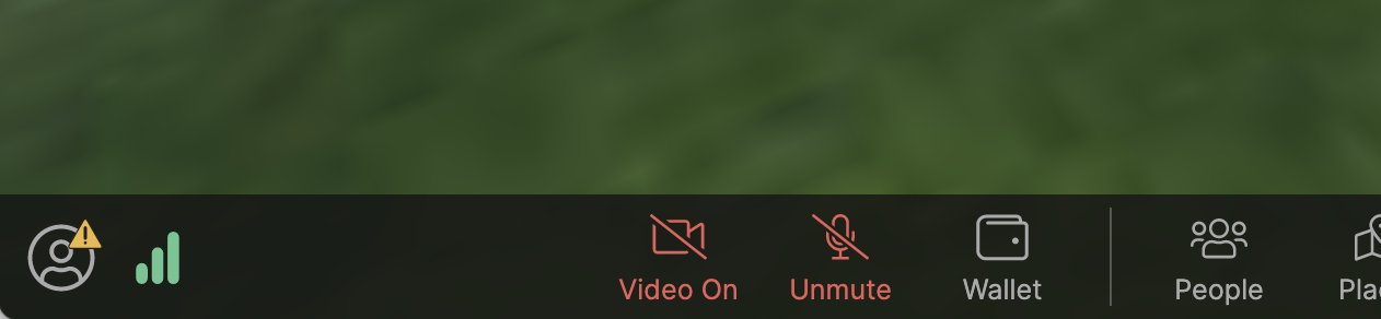 Camera and Microphone Off