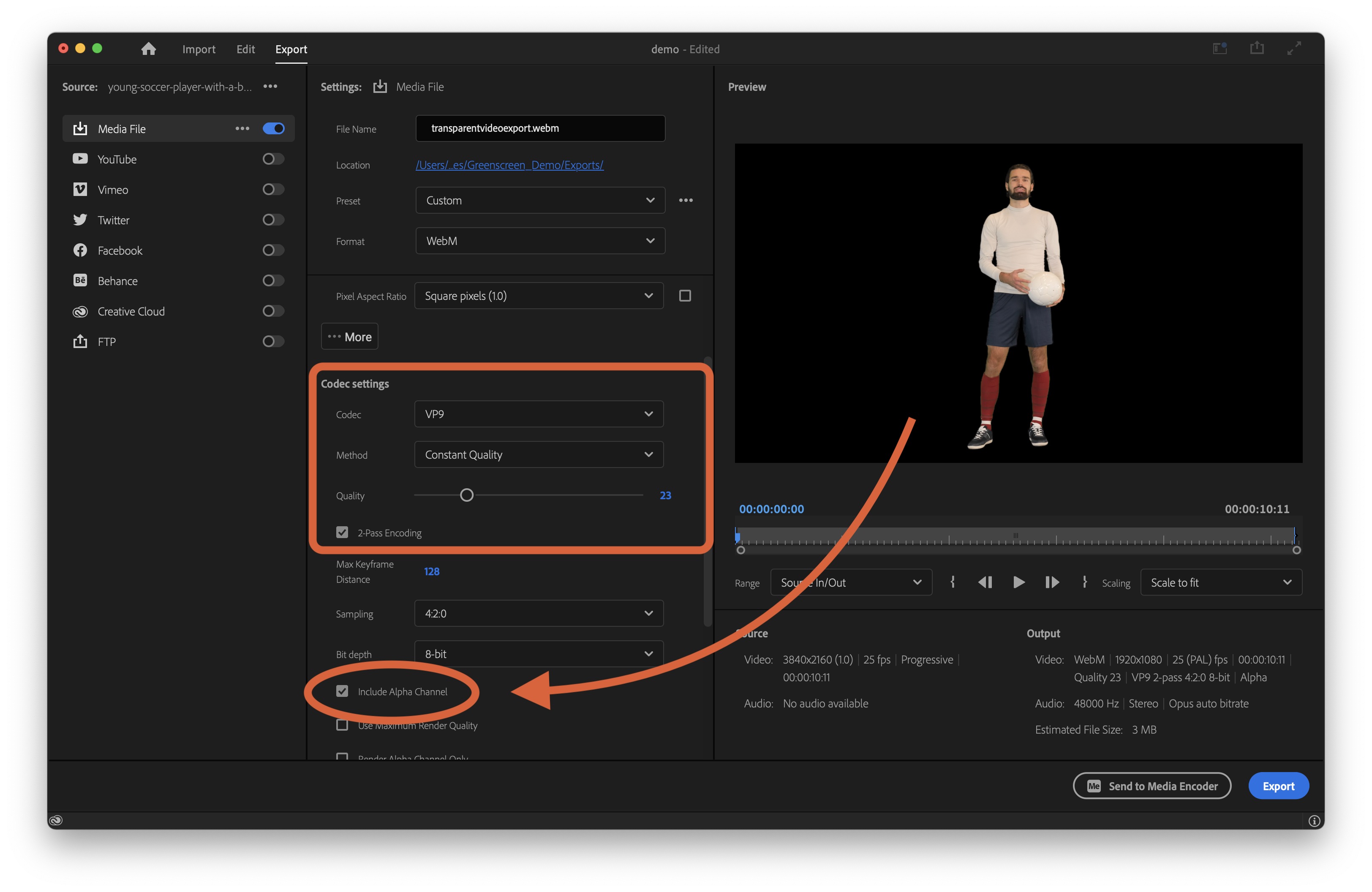 transparentvideo_premierepro-2.png