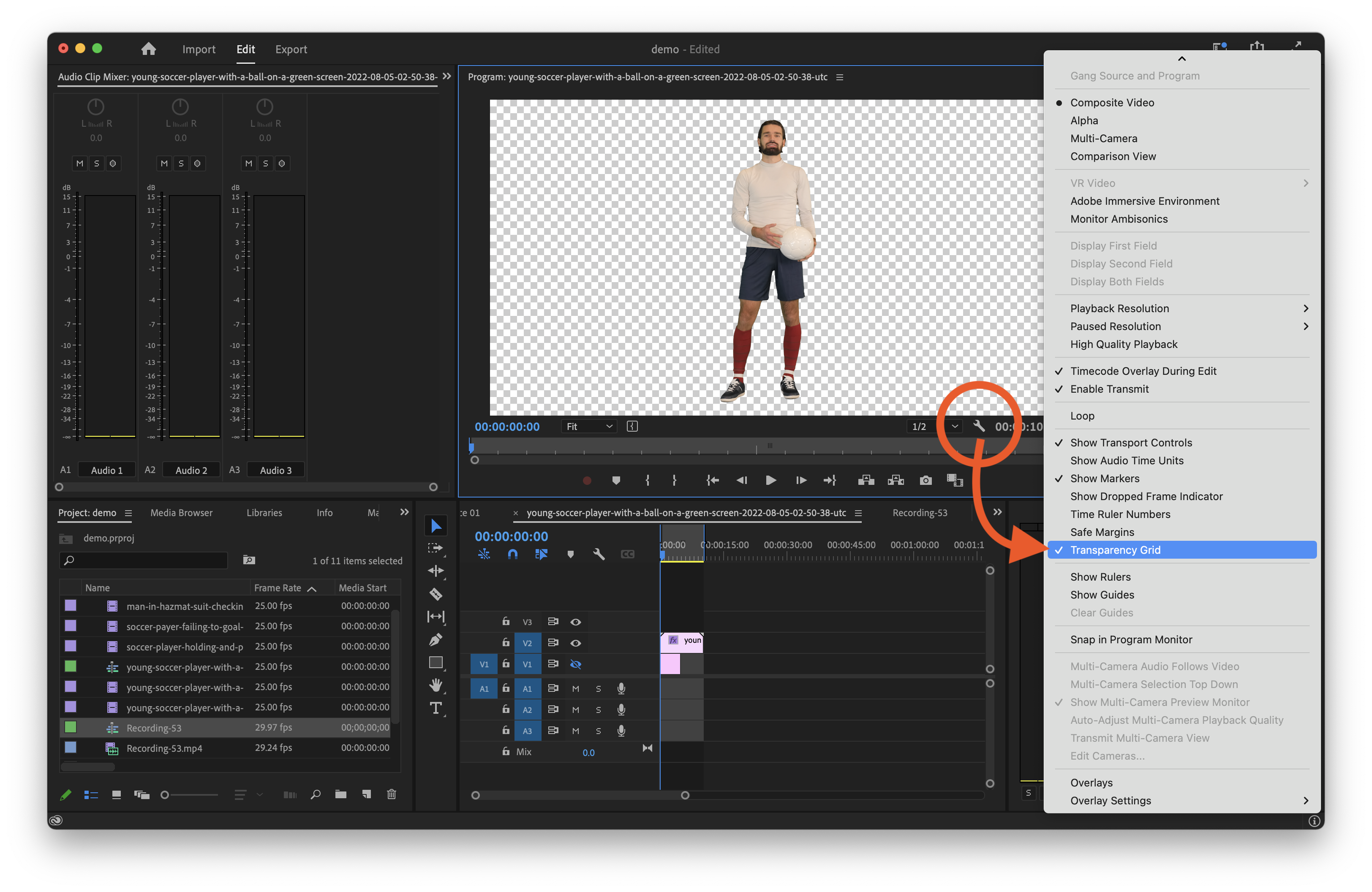 transparentvideo_premierepro-0.png
